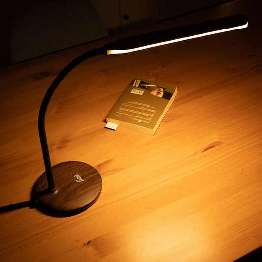 Serene Adjustable Reading Light